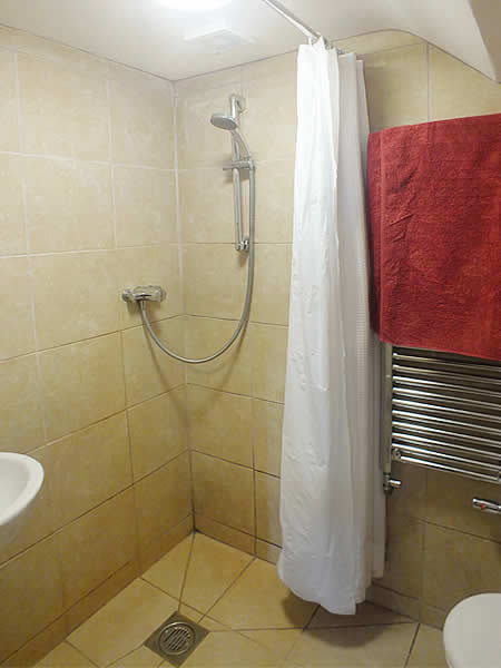 Wet room with shower